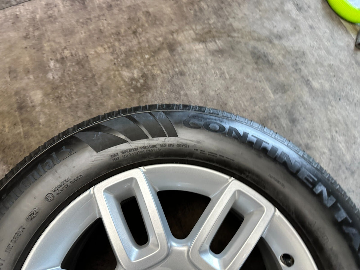 Image #8