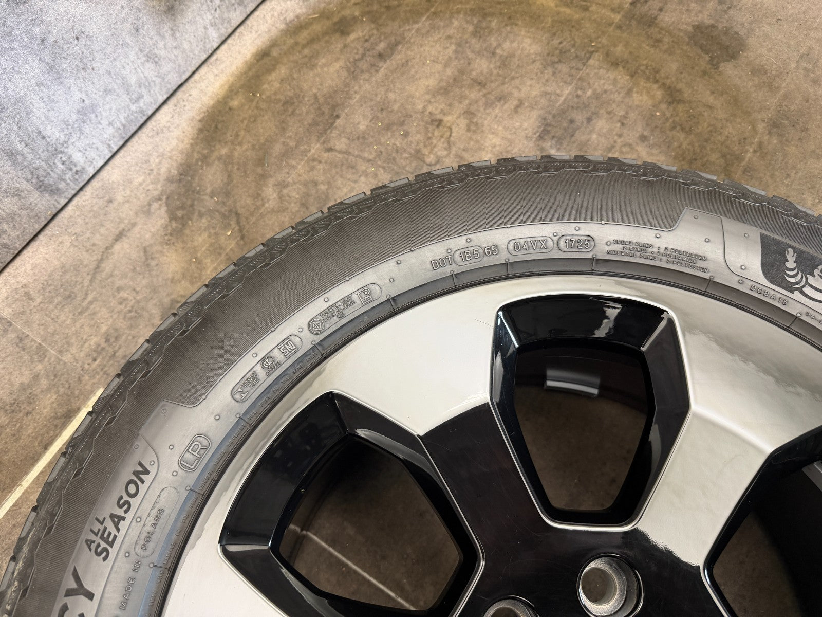 Image #7