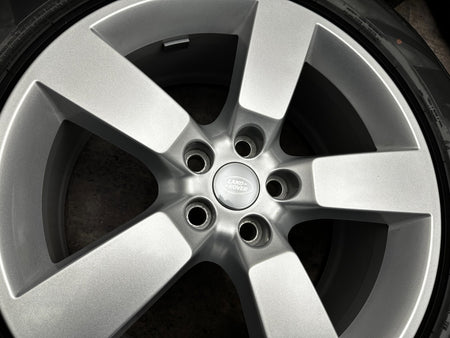 Image #6