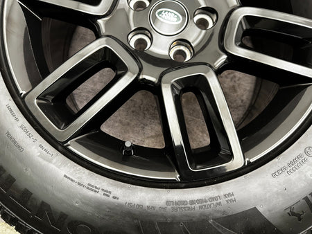 Image #7
