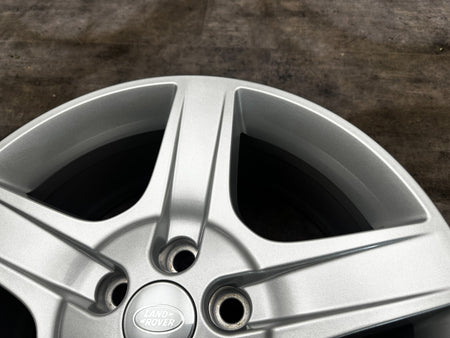 Image #4